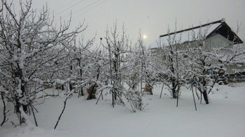 2012初積雪.jpg